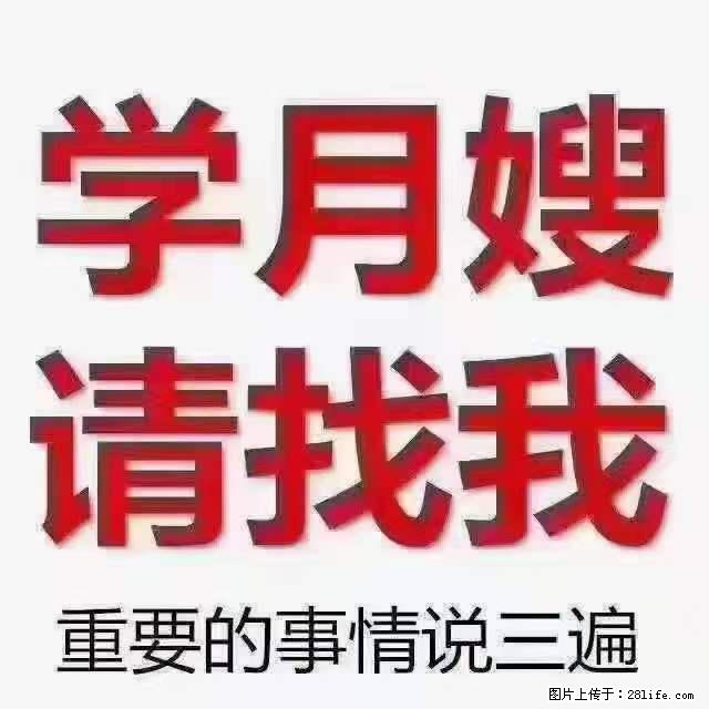 为什么要学习月嫂，育婴师？ - 其他广告 - 广告专区 - 牡丹江分类信息 - 牡丹江28生活网 mdj.28life.com