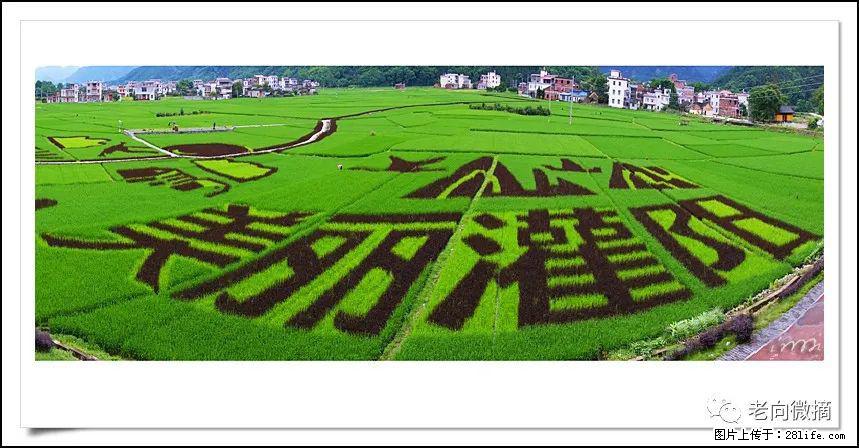 【春天，广西桂林灌阳县向您发出邀请！】开篇 - 游山玩水 - 牡丹江生活社区 - 牡丹江28生活网 mdj.28life.com