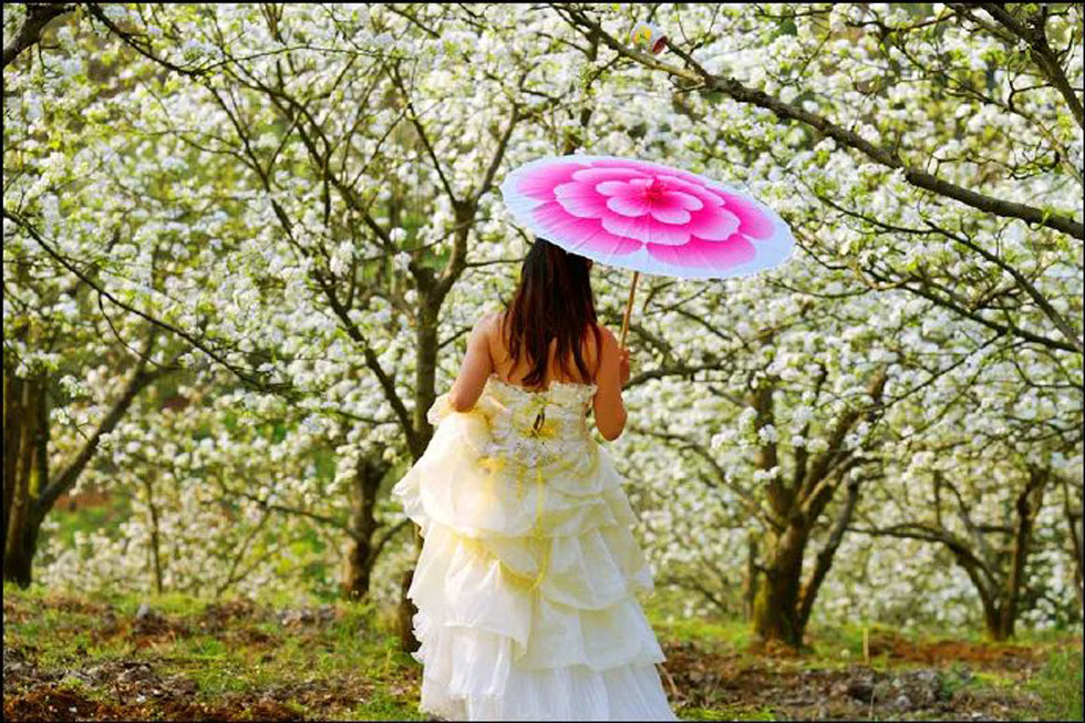 【春天,广西桂林灌阳县向您发出邀请!】我们在灌阳看梨花 - 游山玩水 - 牡丹江生活社区 - 牡丹江28生活网 mdj.28life.com