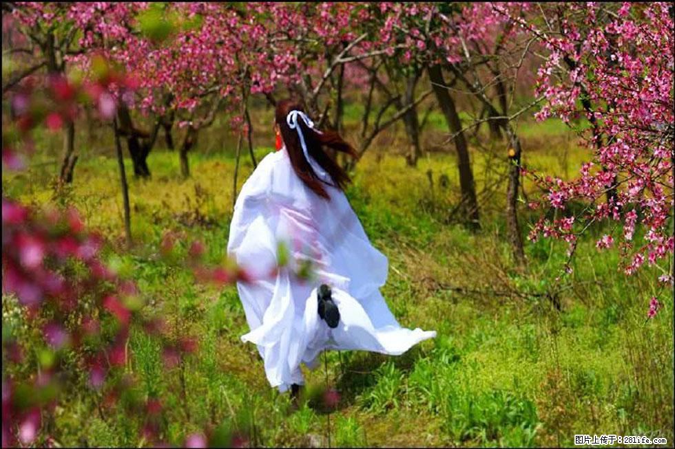 【春天，广西桂林灌阳县向您发出邀请！】官庄村有个醉美的桃花园 - 游山玩水 - 牡丹江生活社区 - 牡丹江28生活网 mdj.28life.com