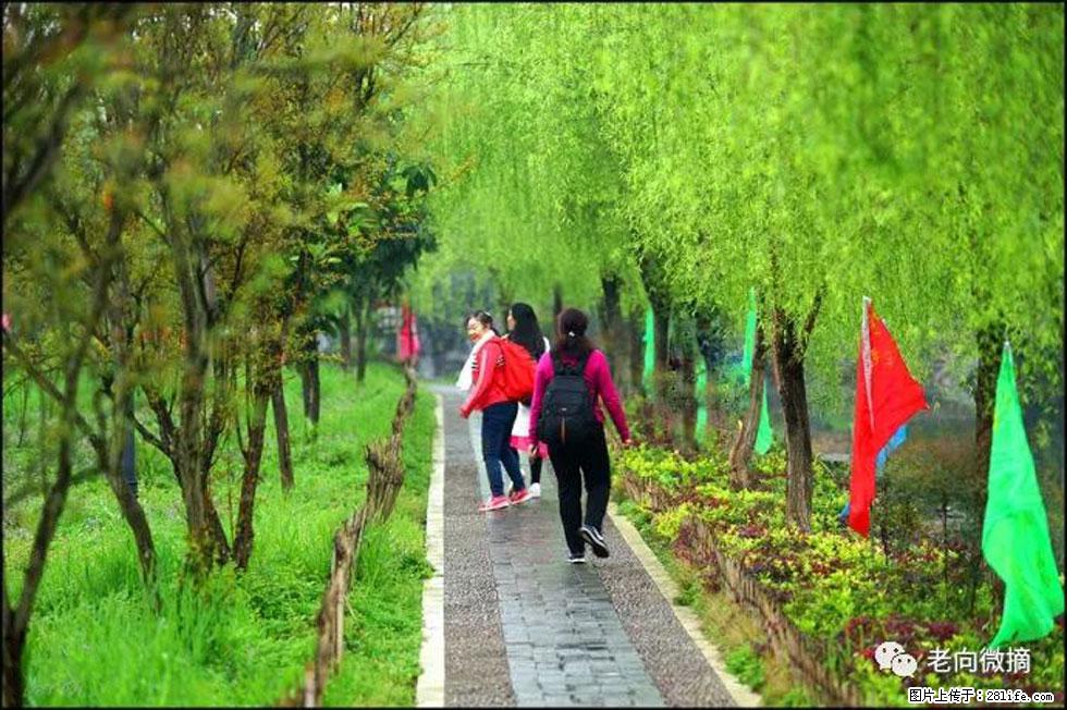 【春天，广西桂林灌阳县向您发出邀请！】江口老街又逢春 - 游山玩水 - 牡丹江生活社区 - 牡丹江28生活网 mdj.28life.com