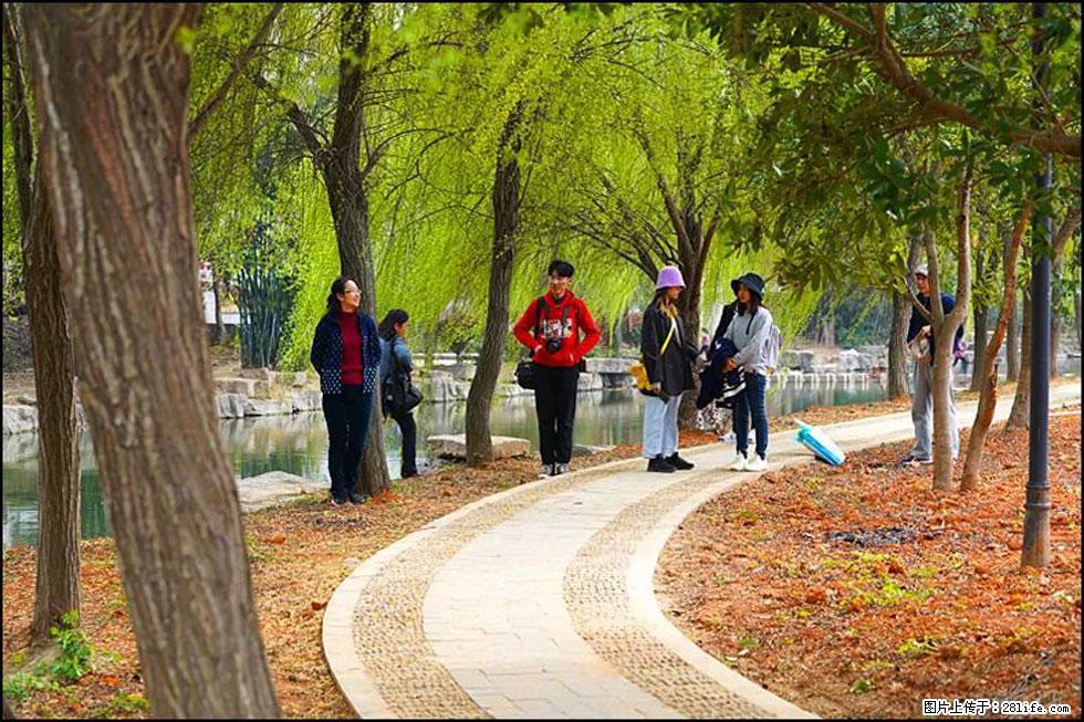 【春天，广西桂林灌阳县向您发出邀请！】江口老街又逢春 - 游山玩水 - 牡丹江生活社区 - 牡丹江28生活网 mdj.28life.com