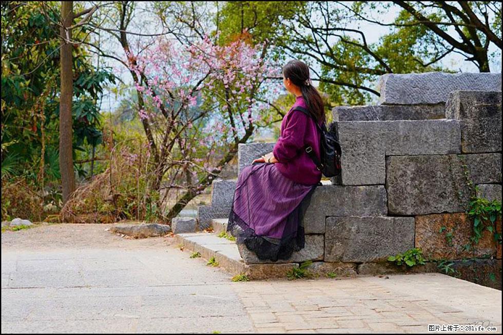 【春天，广西桂林灌阳县向您发出邀请！】江口老街又逢春 - 游山玩水 - 牡丹江生活社区 - 牡丹江28生活网 mdj.28life.com