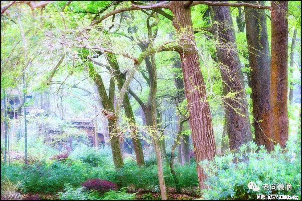 【春天，广西桂林灌阳县向您发出邀请！】在小龙村与春天约会 - 游山玩水 - 牡丹江生活社区 - 牡丹江28生活网 mdj.28life.com