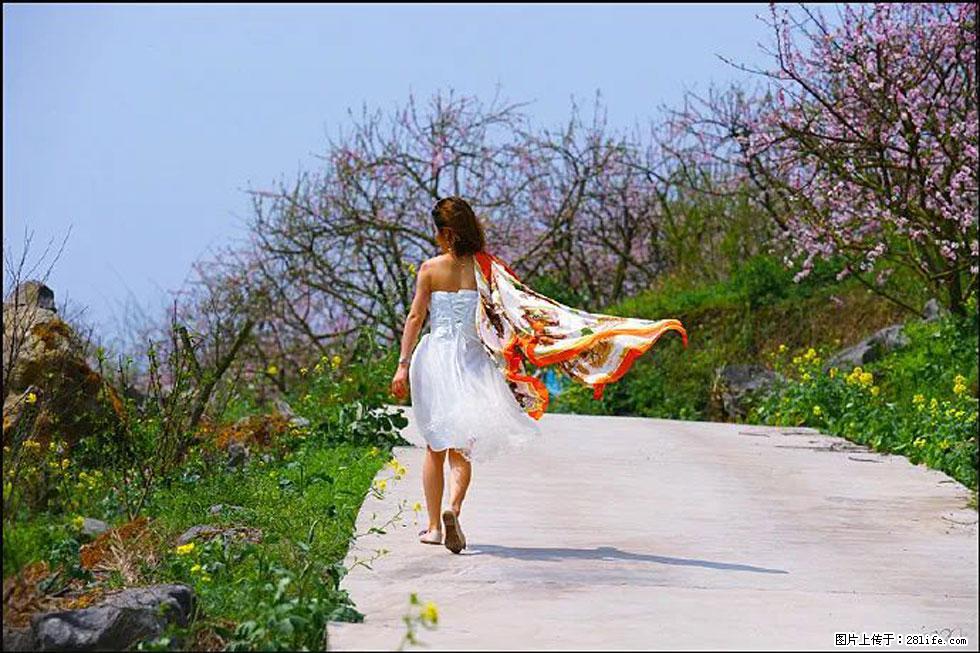 【春天，广西桂林灌阳县向您发出邀请！】望月岭上桃花开 - 游山玩水 - 牡丹江生活社区 - 牡丹江28生活网 mdj.28life.com