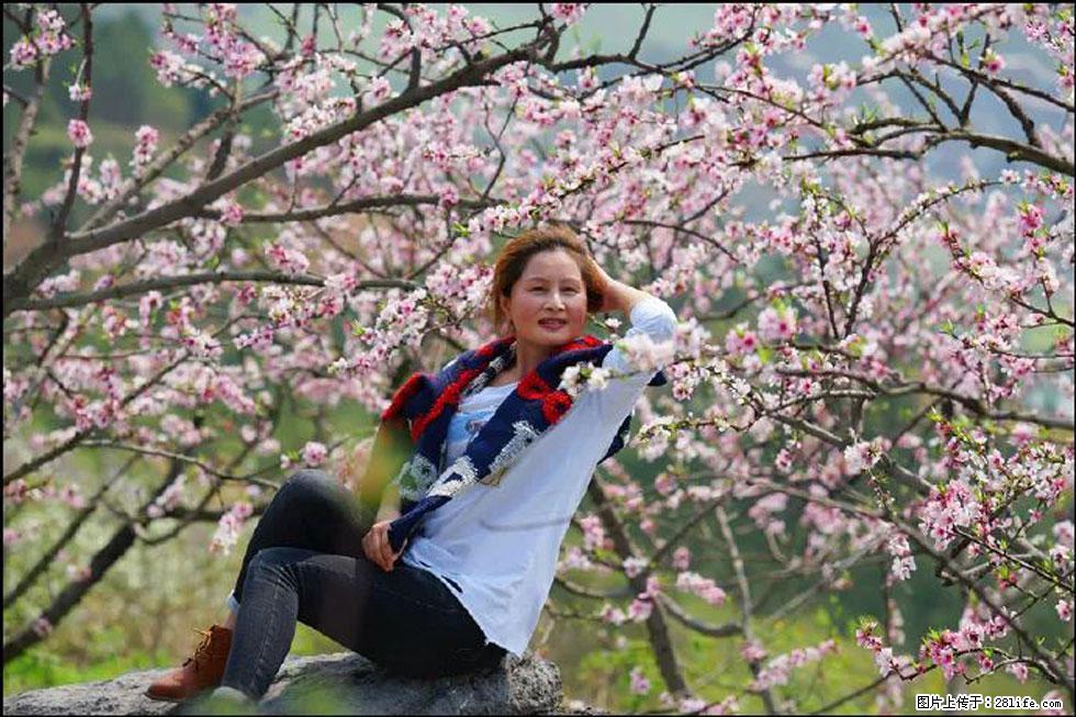 【春天，广西桂林灌阳县向您发出邀请！】望月岭上桃花开 - 游山玩水 - 牡丹江生活社区 - 牡丹江28生活网 mdj.28life.com