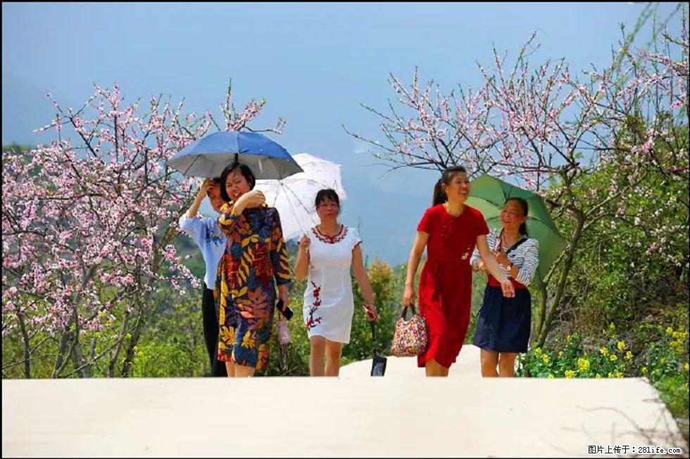 【春天，广西桂林灌阳县向您发出邀请！】望月岭上桃花开 - 游山玩水 - 牡丹江生活社区 - 牡丹江28生活网 mdj.28life.com
