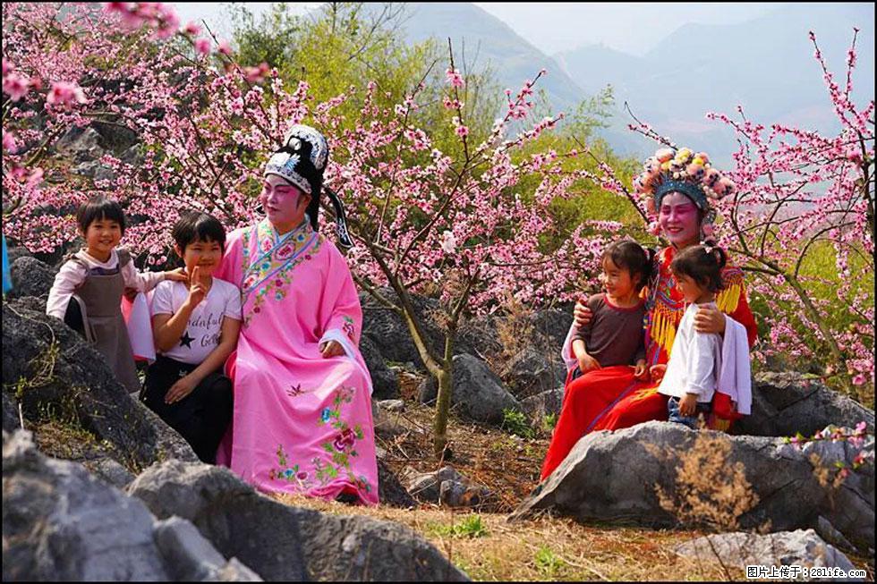 【春天，广西桂林灌阳县向您发出邀请！】望月岭上桃花开 - 游山玩水 - 牡丹江生活社区 - 牡丹江28生活网 mdj.28life.com