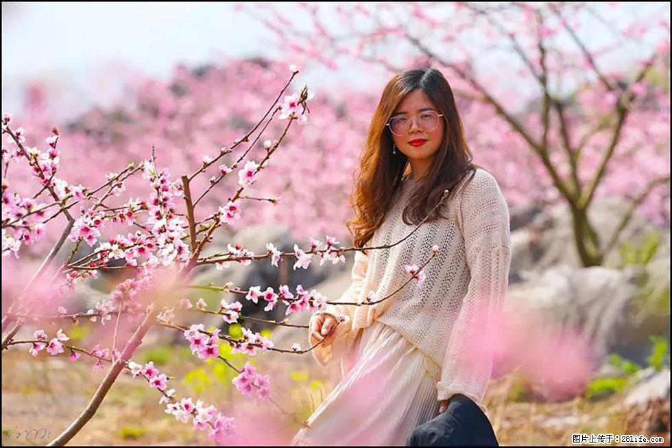 【春天，广西桂林灌阳县向您发出邀请！】望月岭上桃花开 - 游山玩水 - 牡丹江生活社区 - 牡丹江28生活网 mdj.28life.com
