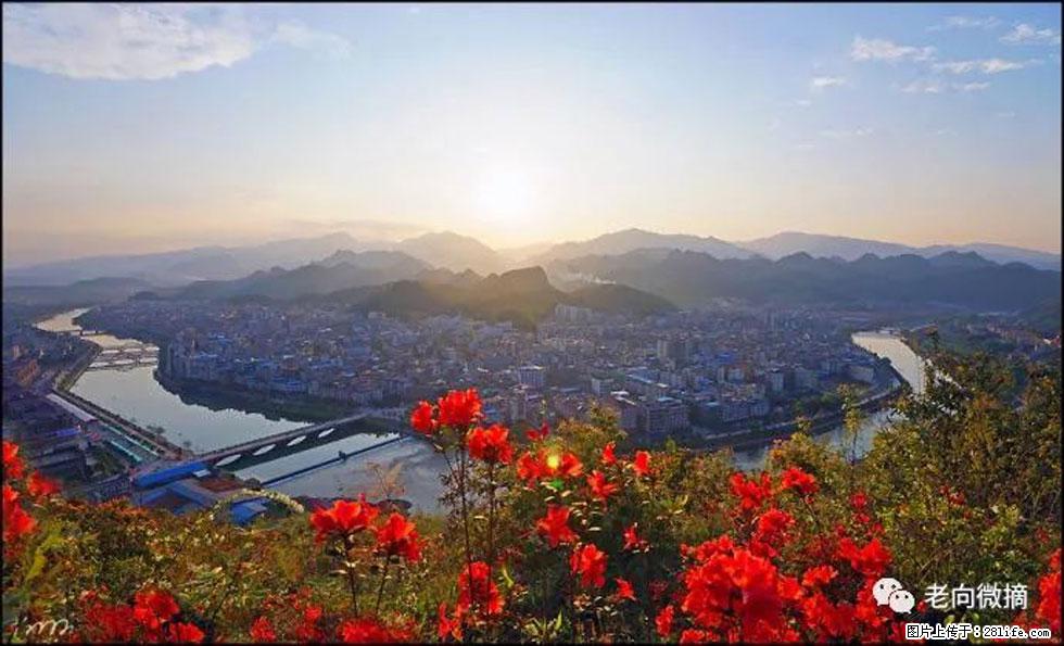【春天，广西桂林灌阳县向您发出邀请！】登麒麟山，相约映山红 - 游山玩水 - 牡丹江生活社区 - 牡丹江28生活网 mdj.28life.com