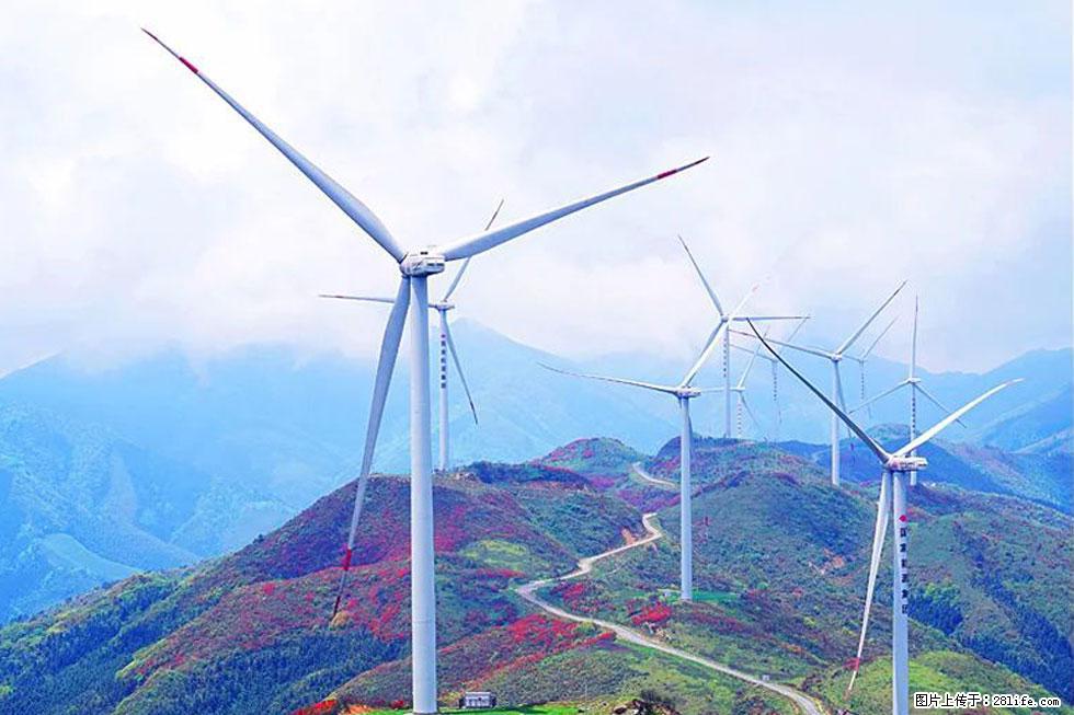 【春天，广西桂林灌阳县向您发出邀请！】春木界上映山红 - 游山玩水 - 牡丹江生活社区 - 牡丹江28生活网 mdj.28life.com