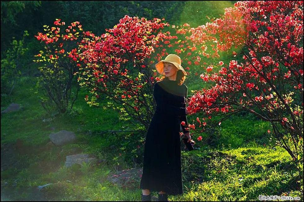 【春天，广西桂林灌阳县向您发出邀请！】春木界上映山红 - 游山玩水 - 牡丹江生活社区 - 牡丹江28生活网 mdj.28life.com