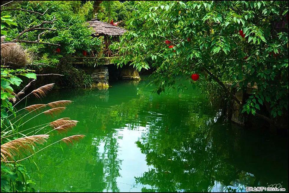 【春天，广西桂林灌阳县向您发出邀请！】如梦似幻莲溪庐 - 游山玩水 - 牡丹江生活社区 - 牡丹江28生活网 mdj.28life.com