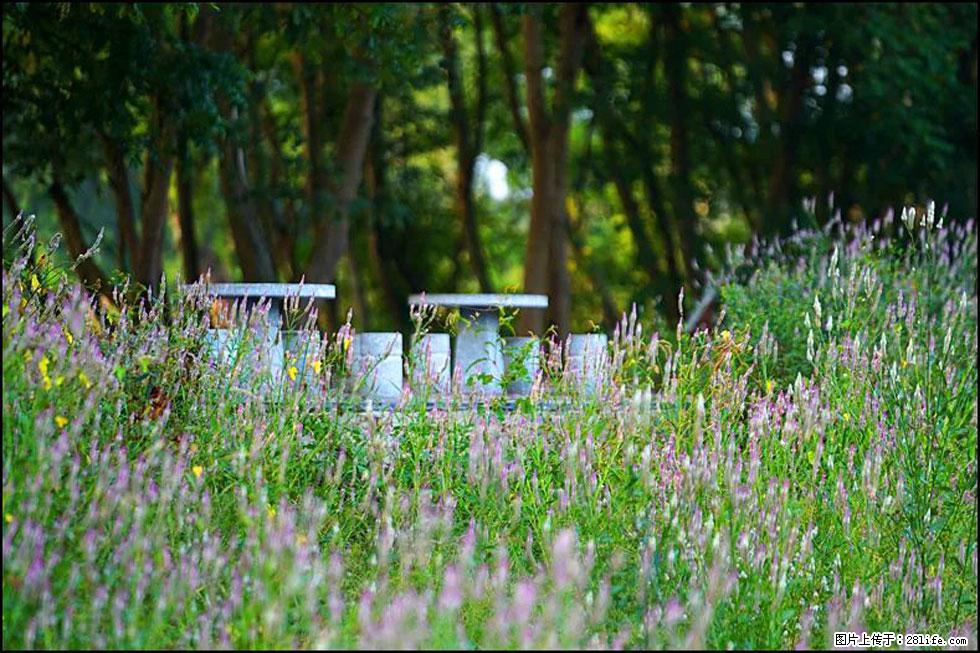 【春天,广西桂林灌阳县向您发出邀请!】熊家寨湿地公园 - 游山玩水 - 牡丹江生活社区 - 牡丹江28生活网 mdj.28life.com