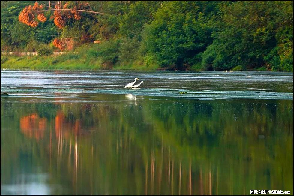 【春天,广西桂林灌阳县向您发出邀请!】熊家寨湿地公园 - 游山玩水 - 牡丹江生活社区 - 牡丹江28生活网 mdj.28life.com
