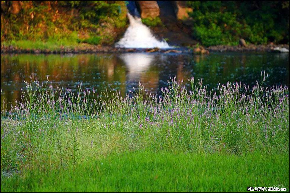 【春天,广西桂林灌阳县向您发出邀请!】熊家寨湿地公园 - 游山玩水 - 牡丹江生活社区 - 牡丹江28生活网 mdj.28life.com