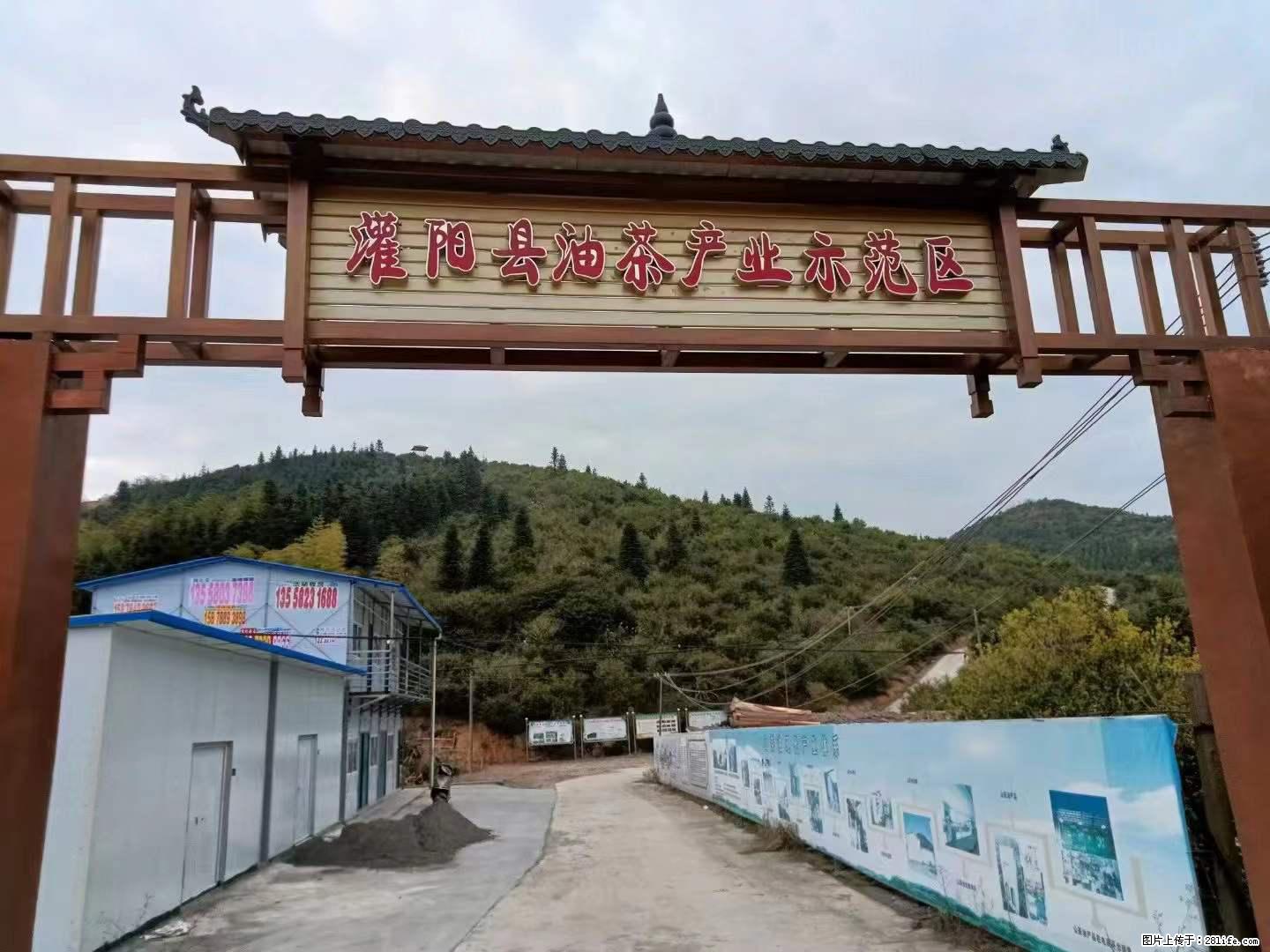 【灌阳县油茶产业示范区】一个有着充实的精神生活的人,对待身外之物自会有一种淡泊的态度 - 美食天地 - 牡丹江生活社区 - 牡丹江28生活网 mdj.28life.com