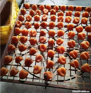 广西桂林平乐桥亭【柿饼之乡】2025年纯手工制作、无任何添加剂的第一批柿饼准备上市了，欢迎联系订购！ - 牡丹江28生活网 mdj.28life.com