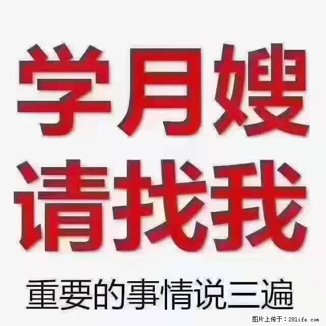 【招聘】月嫂，上海徐汇区 - 职场交流 - 牡丹江生活社区 - 牡丹江28生活网 mdj.28life.com