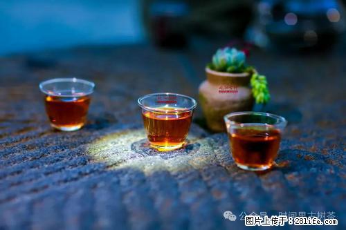 时间果百年古树2025年春红茶 - 购物交流 - 牡丹江生活社区 - 牡丹江28生活网 mdj.28life.com