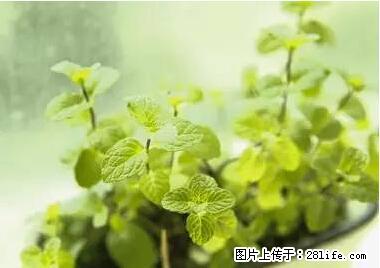 晕车、脚气、牙齿变黄、皮肤粗糙?学会这些三分钟搞定! - 牡丹江生活资讯 - 牡丹江28生活网 mdj.28life.com