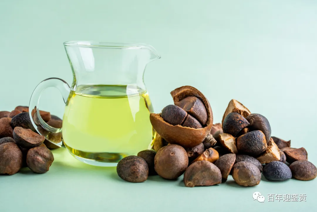 世界没有真相，只有认知，最好的食用油是中国的山茶油！ - 牡丹江生活资讯 - 牡丹江28生活网 mdj.28life.com