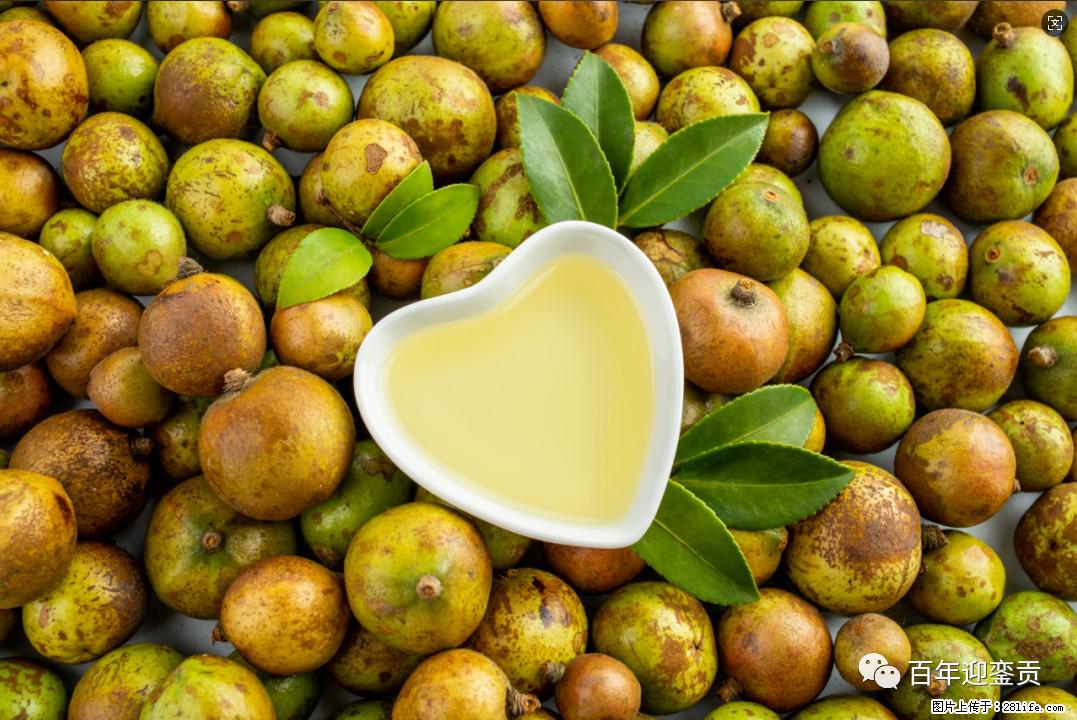 世界没有真相，只有认知，最好的食用油是中国的山茶油！ - 牡丹江生活资讯 - 牡丹江28生活网 mdj.28life.com