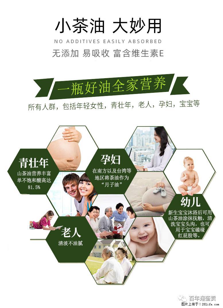 世界没有真相，只有认知，最好的食用油是中国的山茶油！ - 牡丹江生活资讯 - 牡丹江28生活网 mdj.28life.com