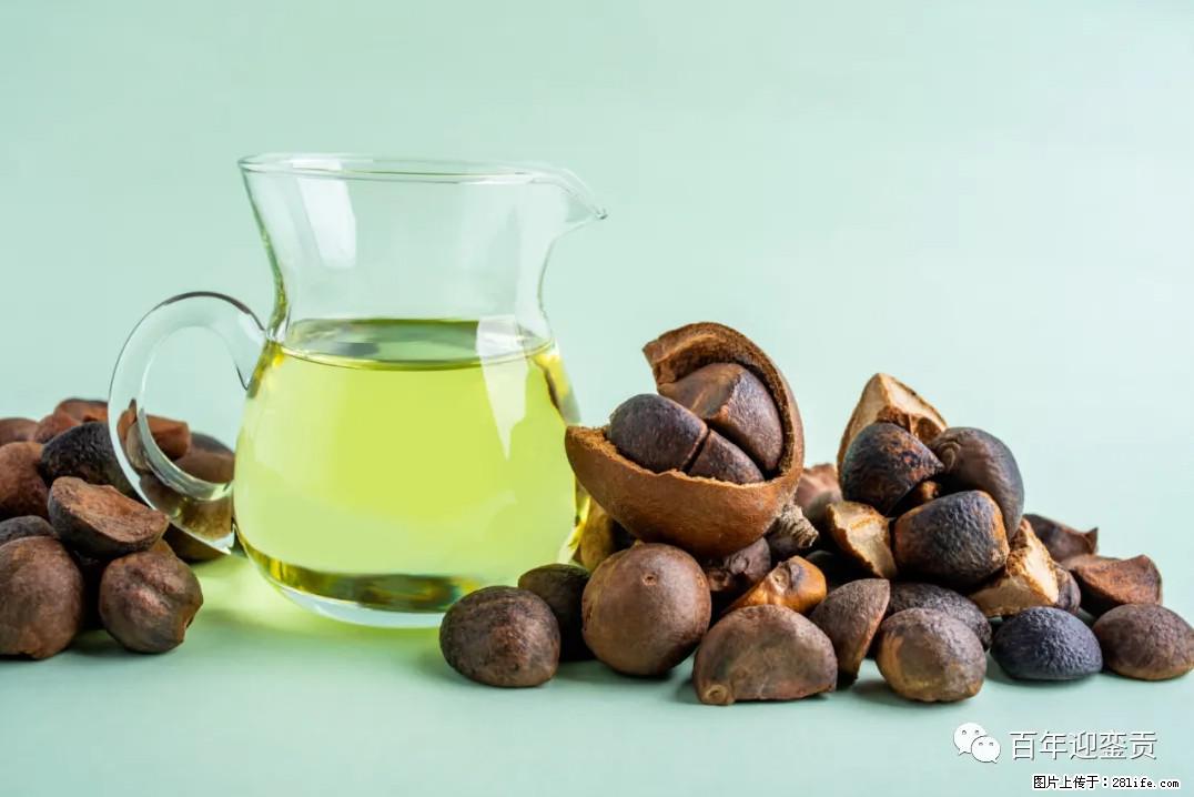 世界没有真相，只有认知，最好的食用油是中国的山茶油！ - 牡丹江生活资讯 - 牡丹江28生活网 mdj.28life.com