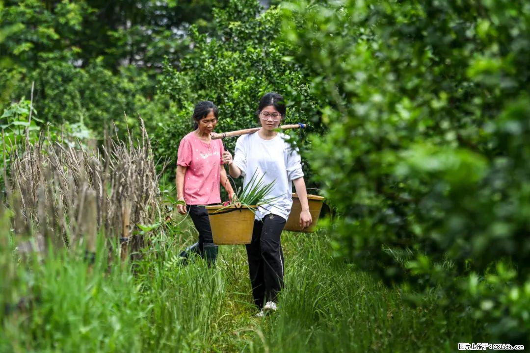 全网追的“扁担女孩”,找了一份暑假工,时薪12元 - 牡丹江生活资讯 - 牡丹江28生活网 mdj.28life.com