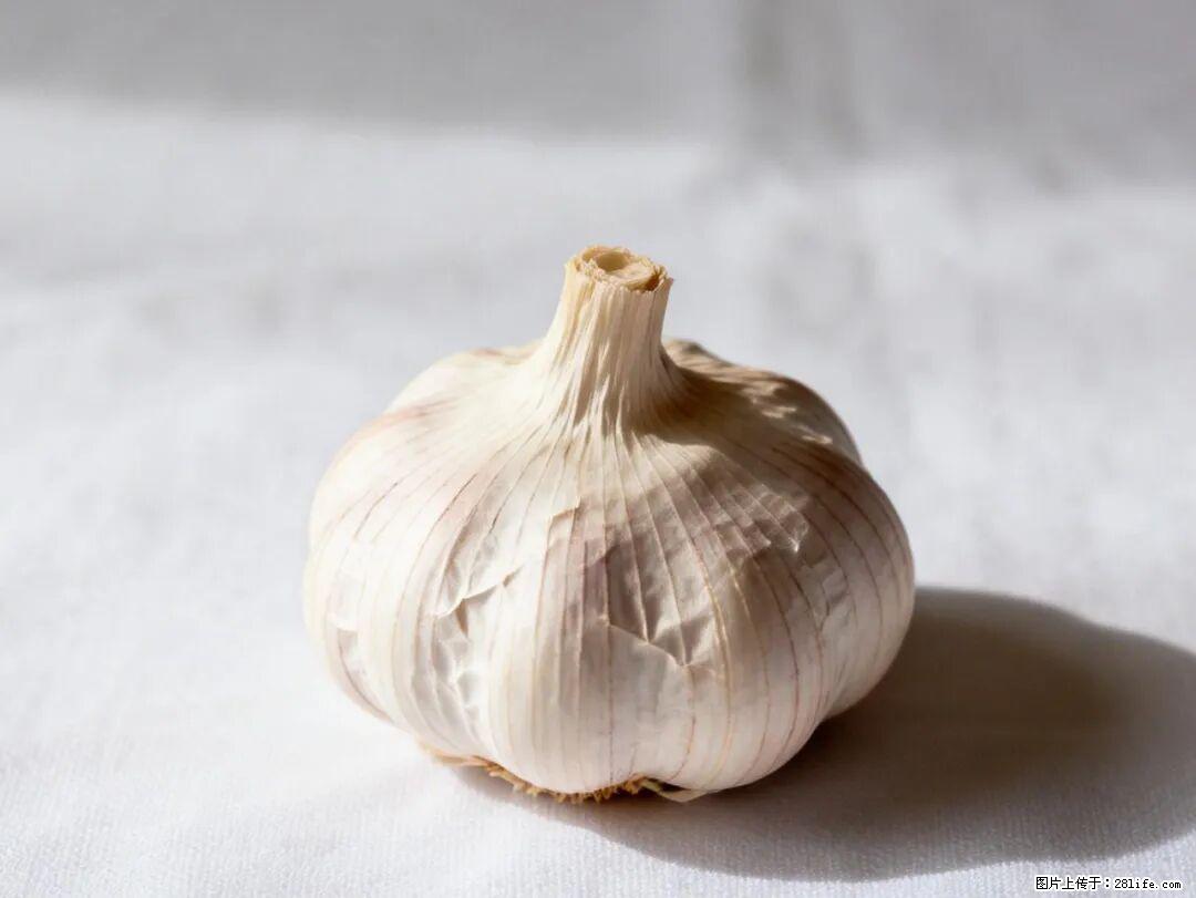 关于大蒜，除了“天然抗生素”，这4个谣言更该警惕! - 牡丹江生活资讯 - 牡丹江28生活网 mdj.28life.com