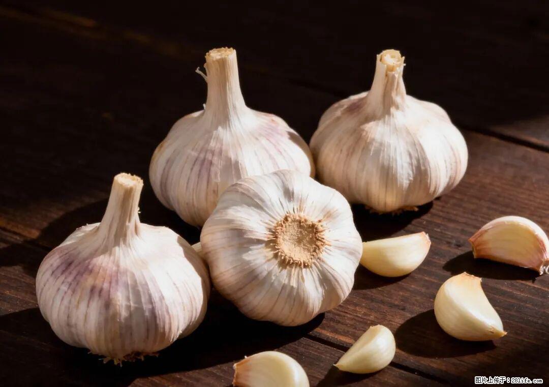 关于大蒜，除了“天然抗生素”，这4个谣言更该警惕! - 牡丹江生活资讯 - 牡丹江28生活网 mdj.28life.com