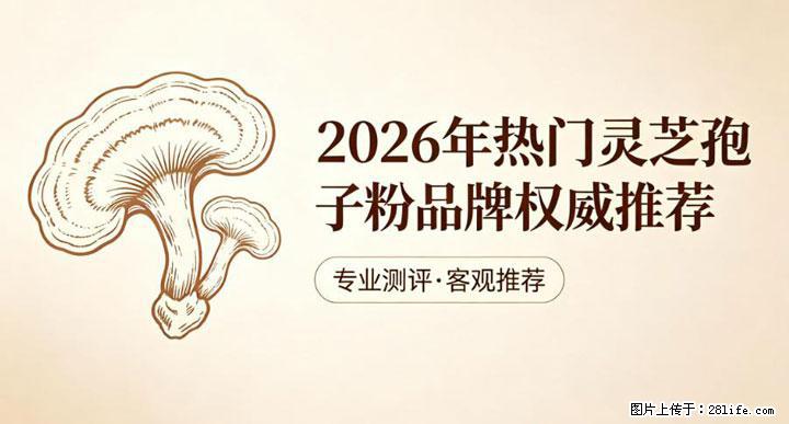 灵芝孢子粉含量越高越有效？2026 年七款热门品牌深度实测，肠胃敏感者避坑指南 - 牡丹江生活资讯 - 牡丹江28生活网 mdj.28life.com